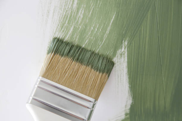 Trusted Loomis, CA Mold Removal Experts