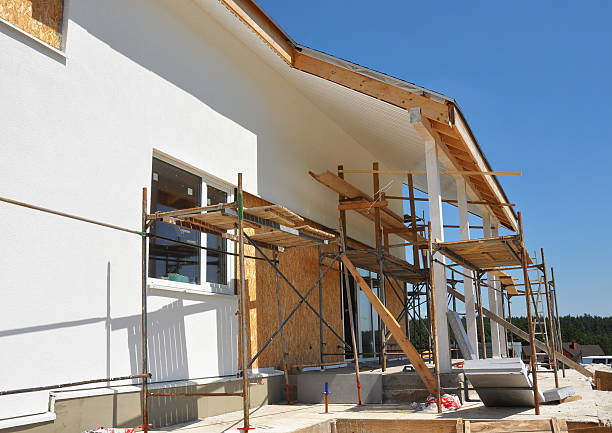 Best Black Mold Removal  in Loomis, CA