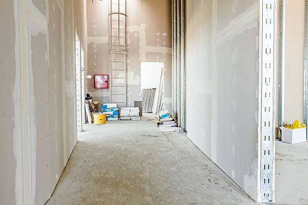 Environmental Consulting for Mold Prevention in Loomis, CA